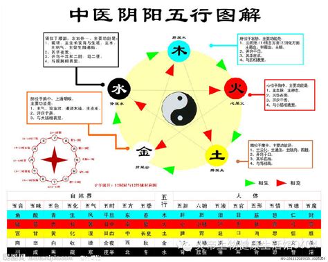 5行相剋|五行相生相剋:五行,四季五行,相生相剋,概念對應,五行數理,五行方。